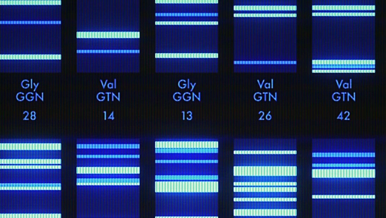 Cold Case Files DNA Speaks S01E07 A Deadly Premonition