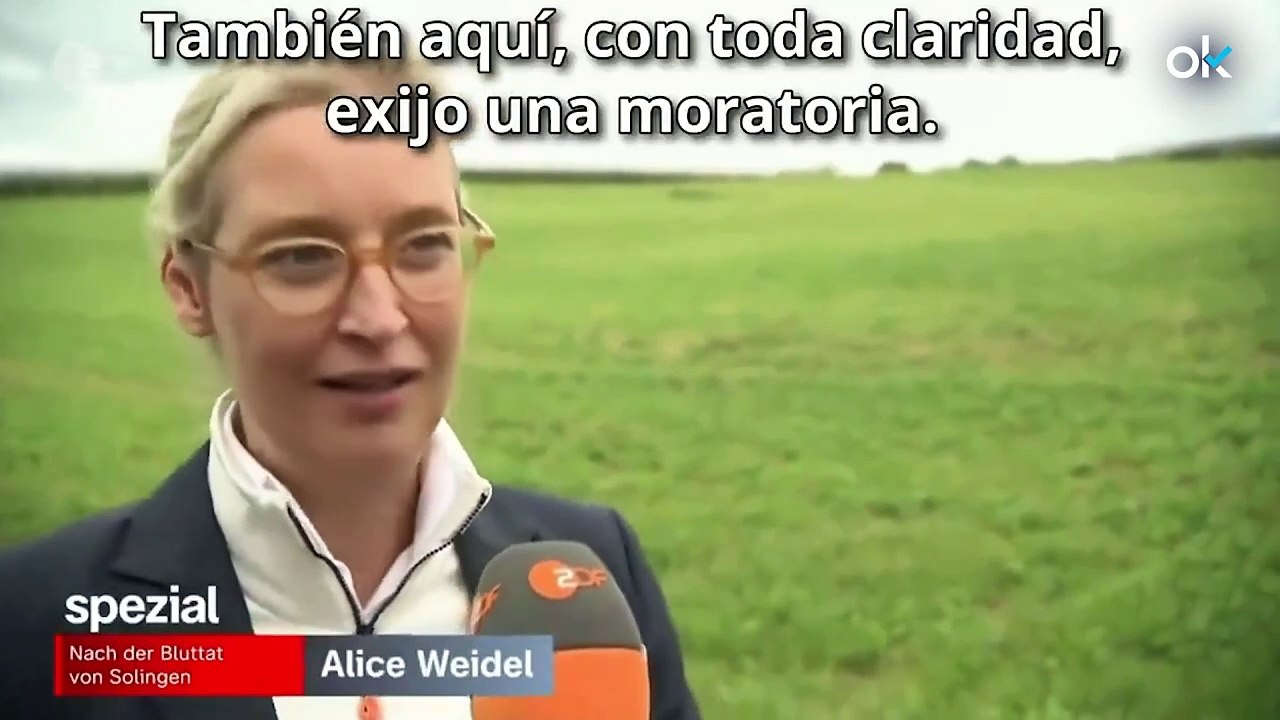 Lo que opina sobre la inmigración Alice Weidel, líder de AfD