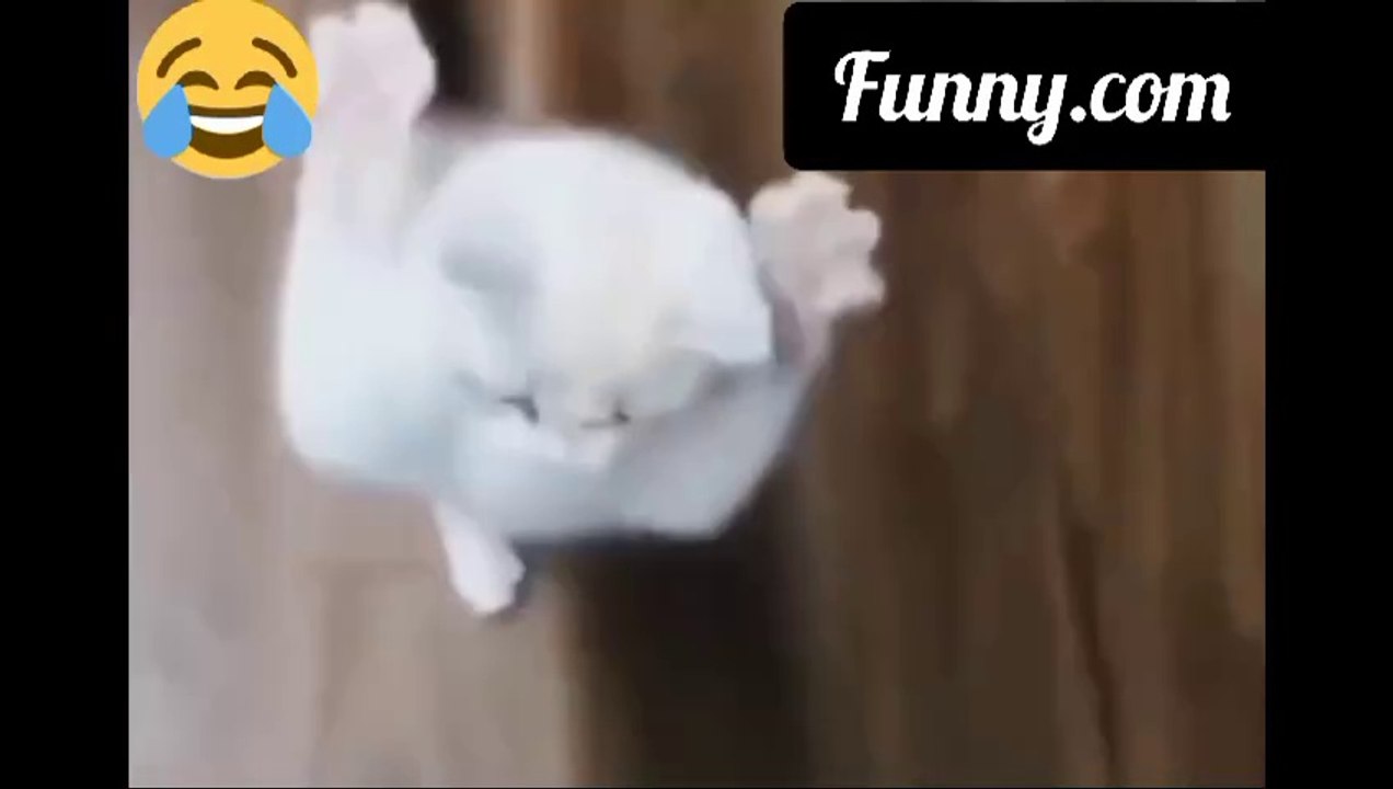 Funny Video # Funny Viral Video