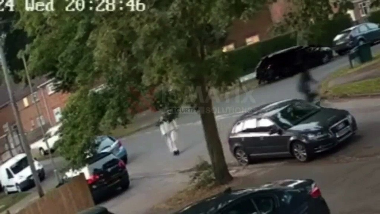 Rocky wood being intimidated