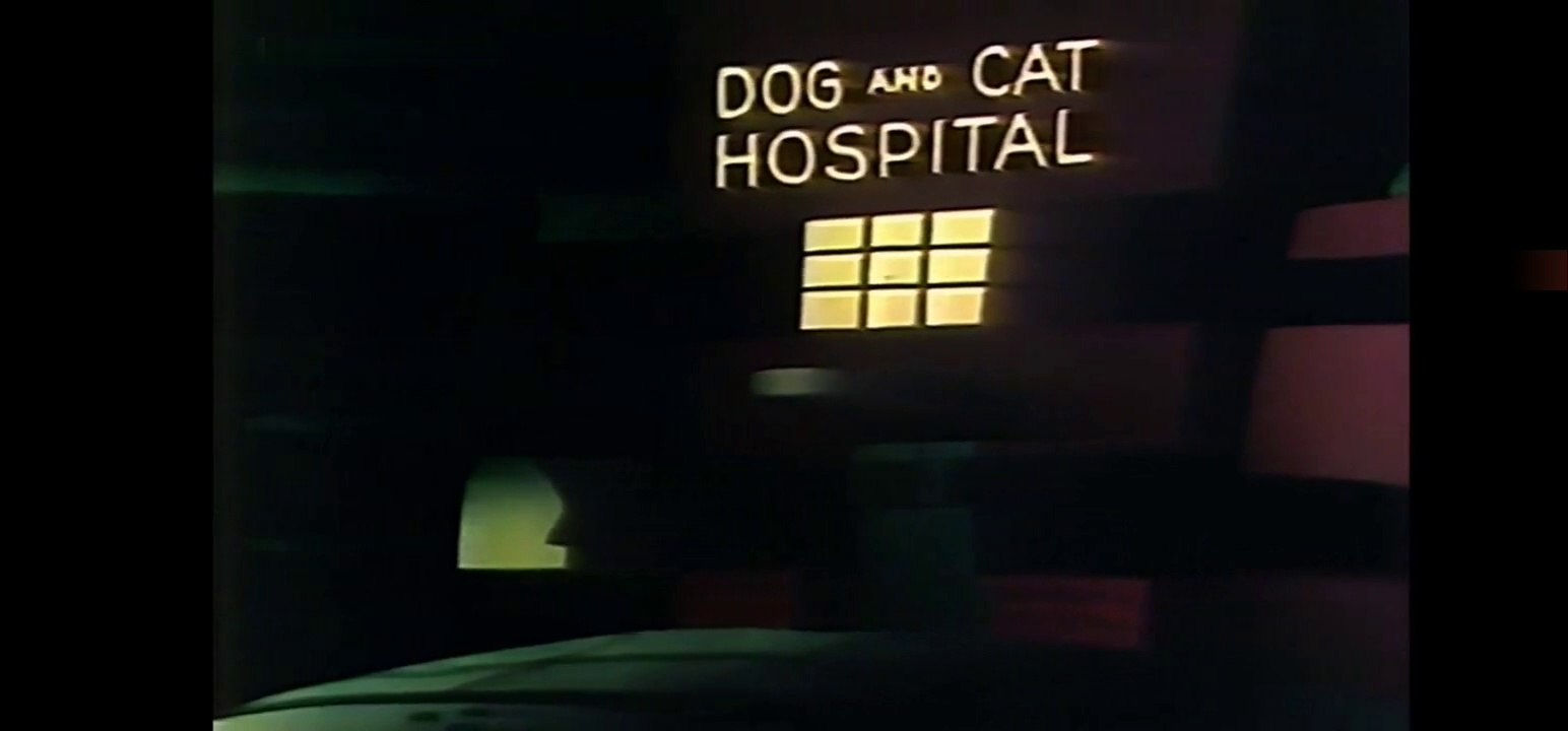 Merrie Melodies (Gatto Silvestro)