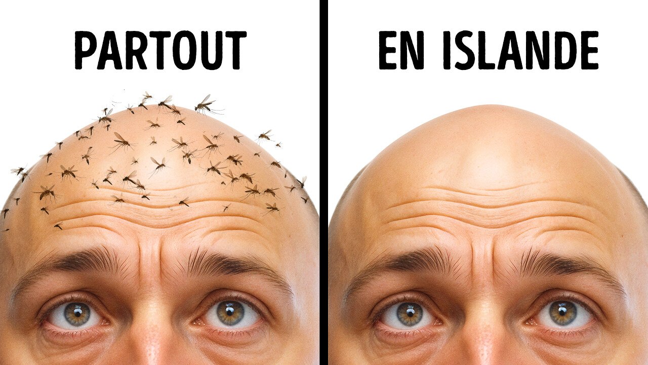 Faits intéressants que vous n'avez pas encore entendus 100 fois