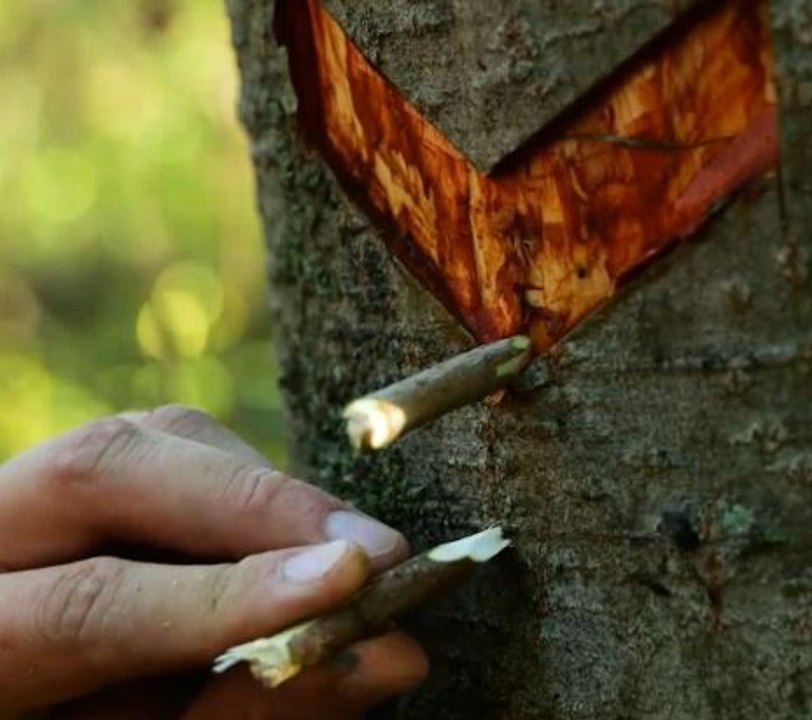 Wild camping hacks for different occasions & seasons!