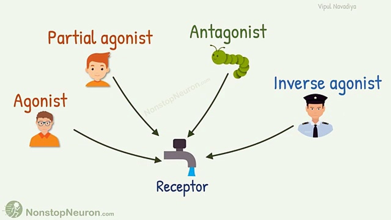 Agonist, Partial Agonist, Antagonist and Inverse Agonist for Receptors