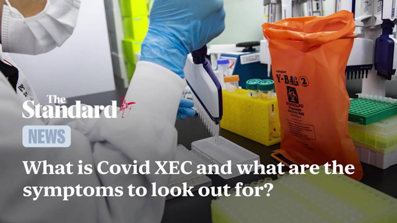 What is Covid XEC and what are the symptoms to look out for?