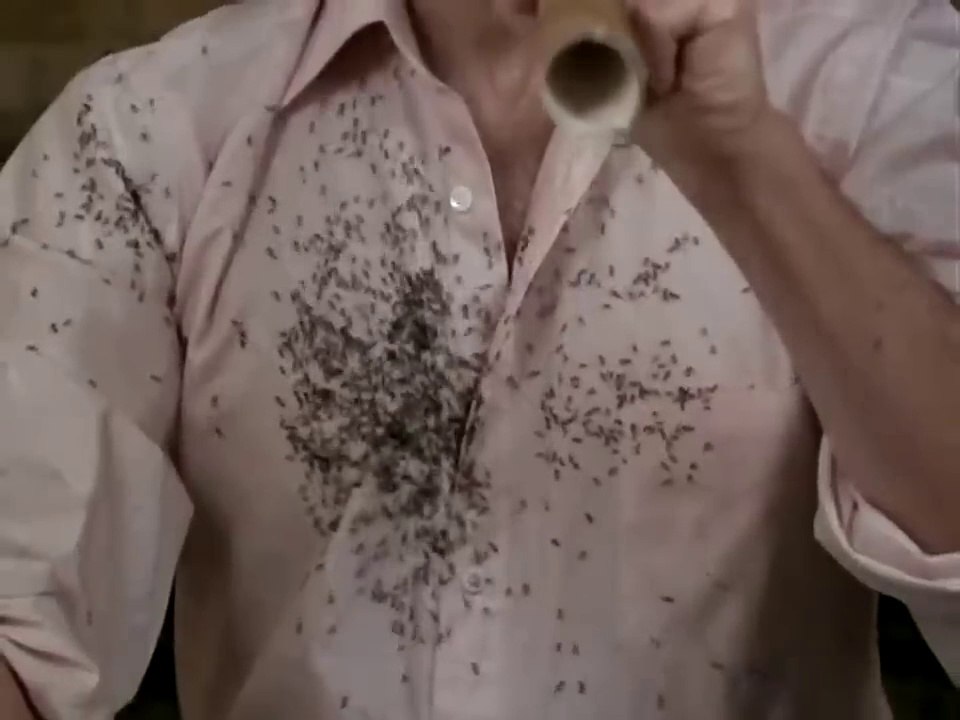 Ants 1977  Horror Thriller Movie