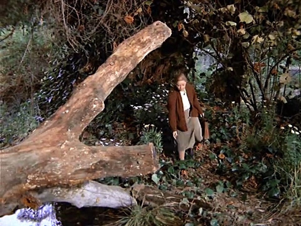 S02E11 - The Substitute