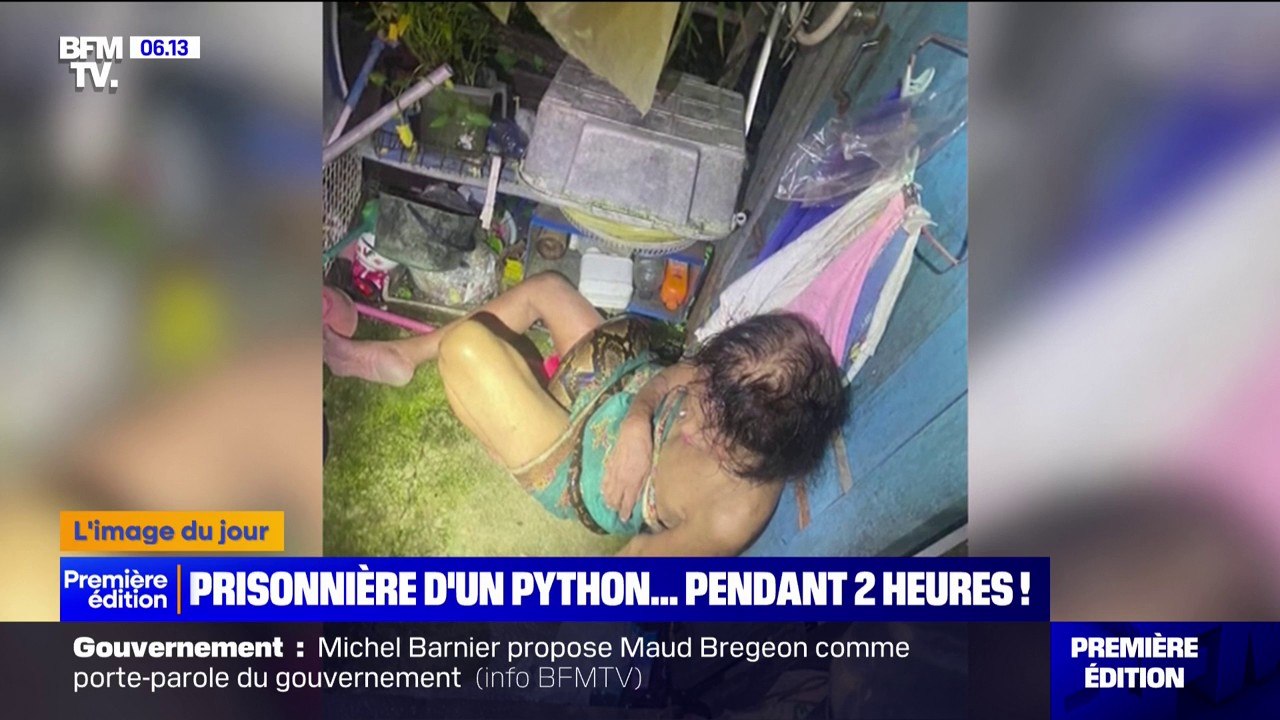En Thaïlande, cette femme est restée prisonnière d'un python pendant deux heures