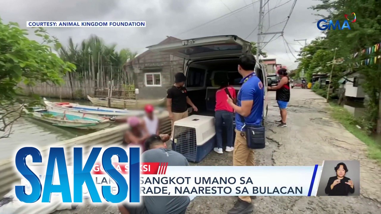 2 lalaking sangkot umano sa dog meat trade, naaresto sa Bulacan | Saksi