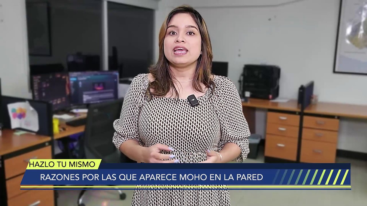 Razones por las que aparece moho en la pared