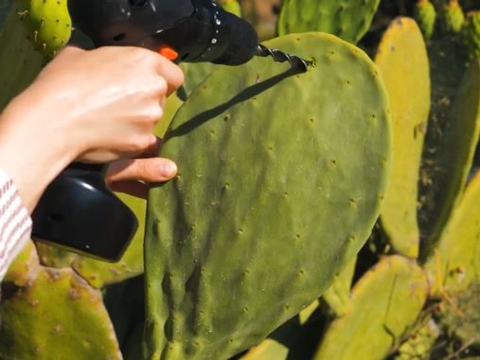 Unique techniques of eco leather creation!