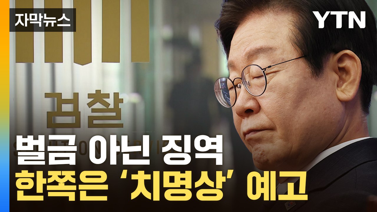 [자막뉴스] "정치적으로 죽여도 되냐"...김구 언급한 이재명 최후진술 / YTN