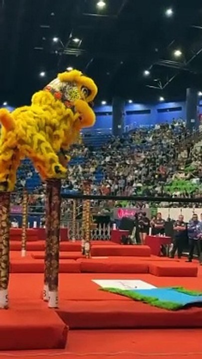 今年狮王是它？柔沙威文青狮团 成夺冠热门