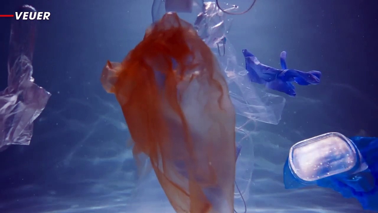 Scientists Discover One Creature Immune to Ingesting Microplastics