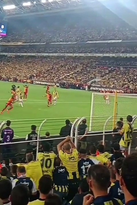 Fenerbahçe 1 - 3 Galatasaray bütün goller