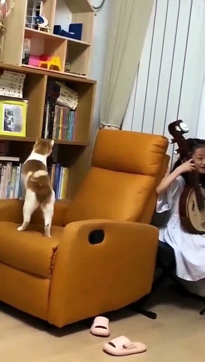 Funniest CATS and DOGS 2024 - Funny ANIMALS videos