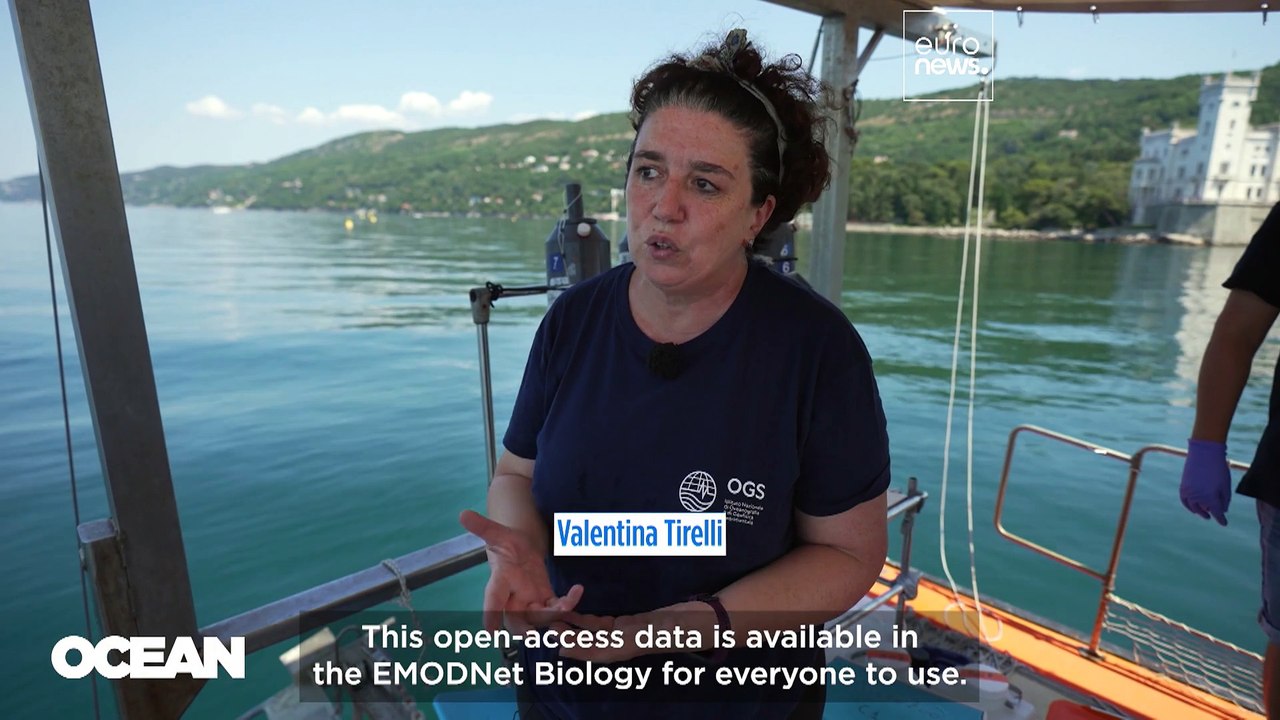 Digital Twin of the Ocean: Europe’s game-changer for sustainable seas