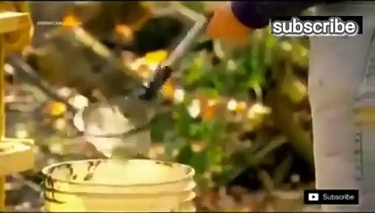 American digger  Find Megalodon Shark in hindi ll Discovery channel show.