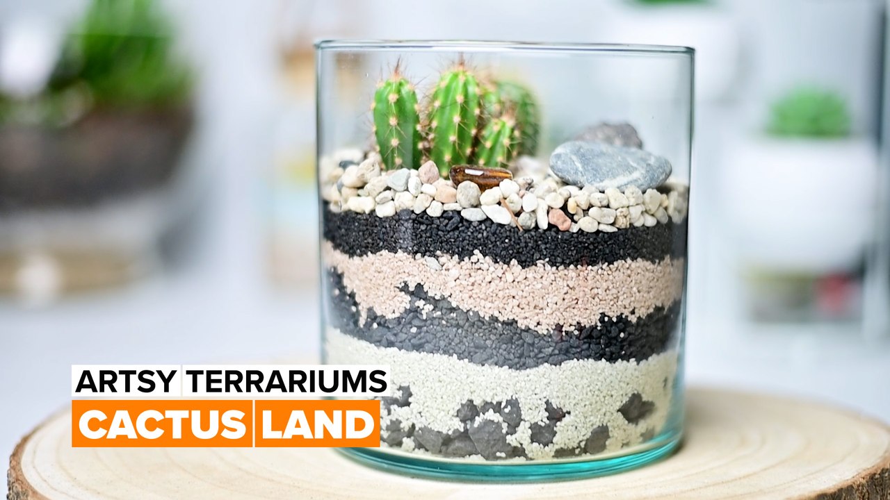 Artsy terrariums: Cactus land