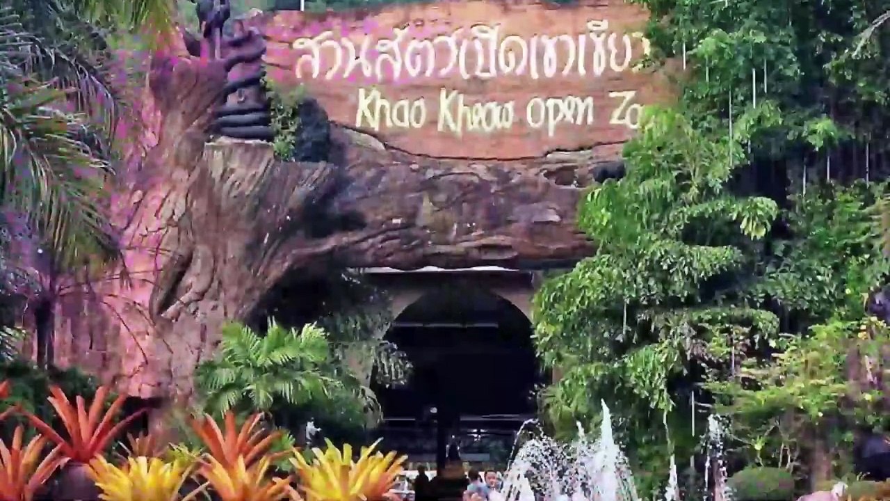 The Internet Is Obsessed With This Screaming Baby Hippo Named Moo-Deng