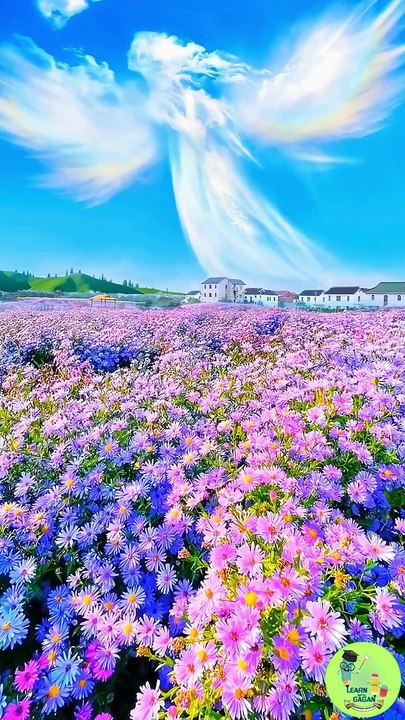 Breathtaking Universe Visuals