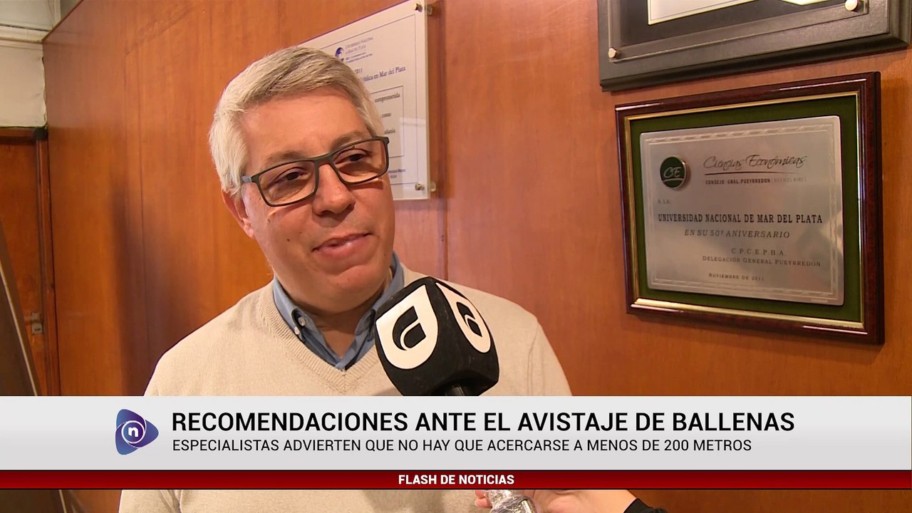 RECOMENDACIONES ANTE EL AVISTAJE DE BALLENAS