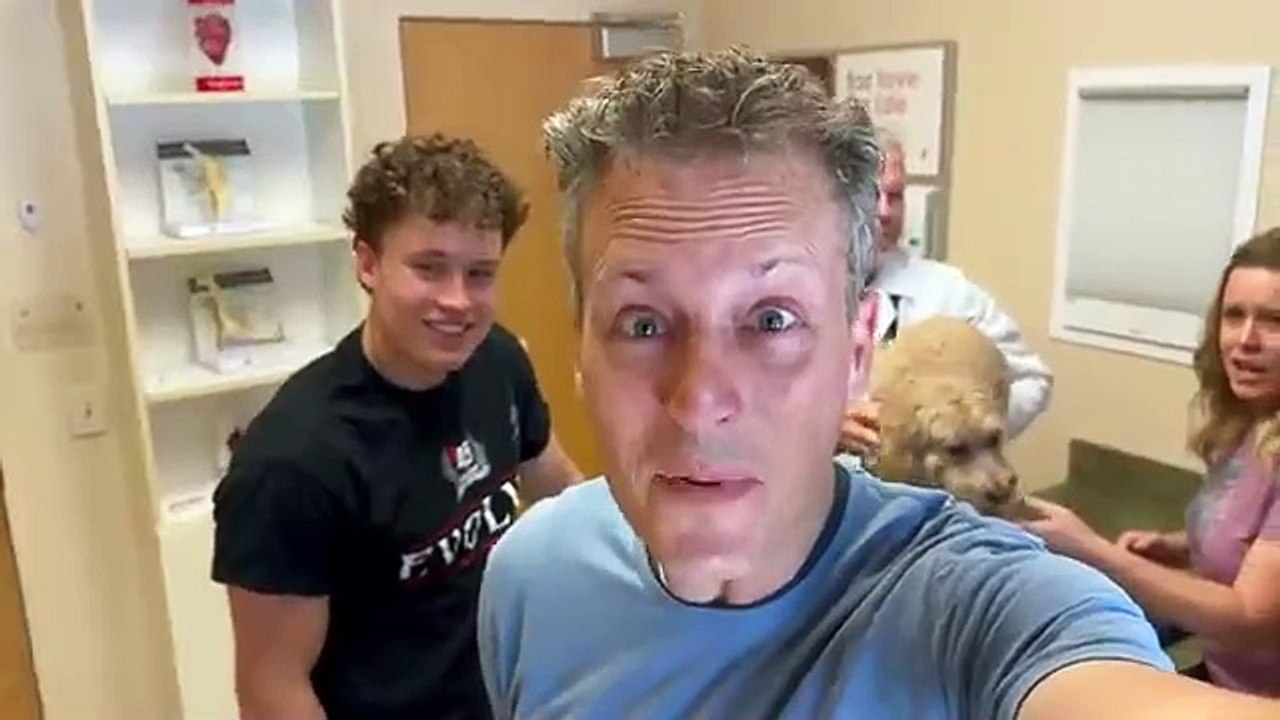 Ninja kids.Our dog is having PUPPIES! Ninja kids