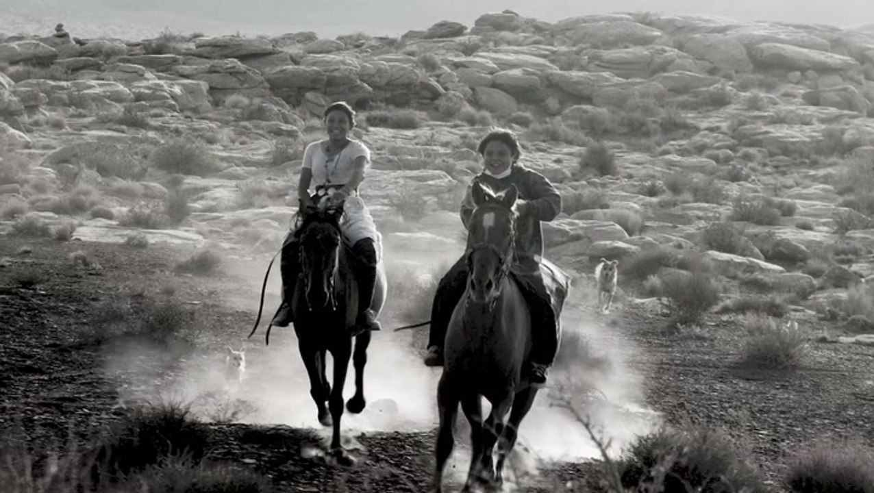 Information About The Ice Age Horse