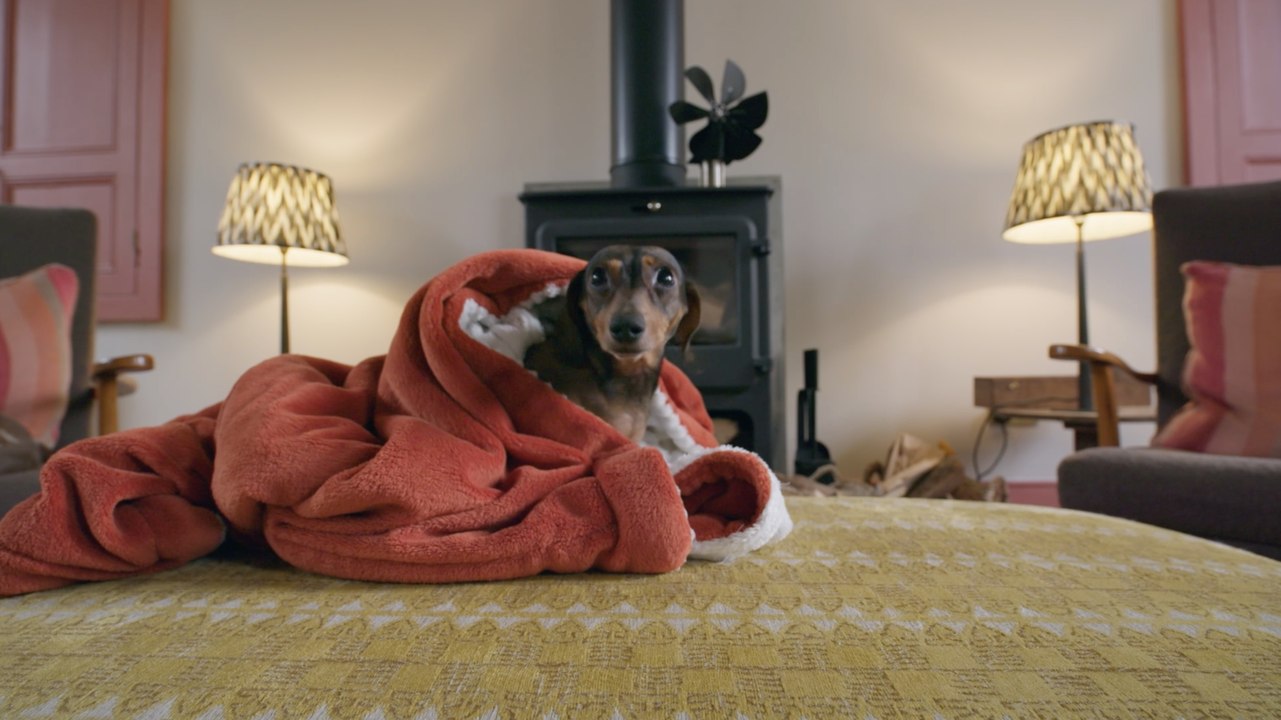 Dachshunds inspired this conversion from Sunday School to single storey home