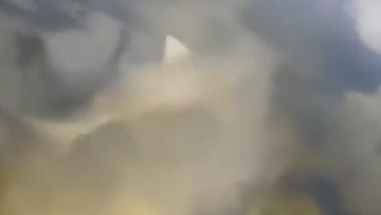 Shark spotted in Florida lake after ‘straying from ocean’ during Hurricane Helene