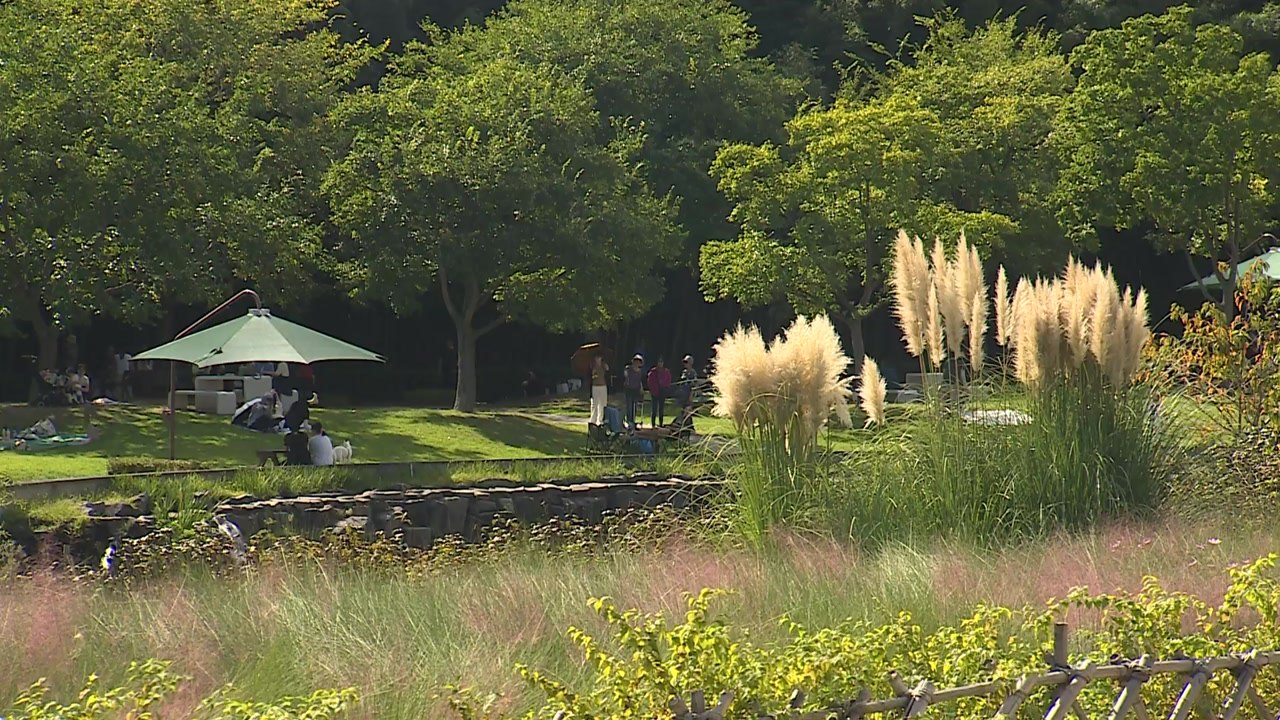 울산 관광객 역대 최다...'국가정원' 효과 / YTN