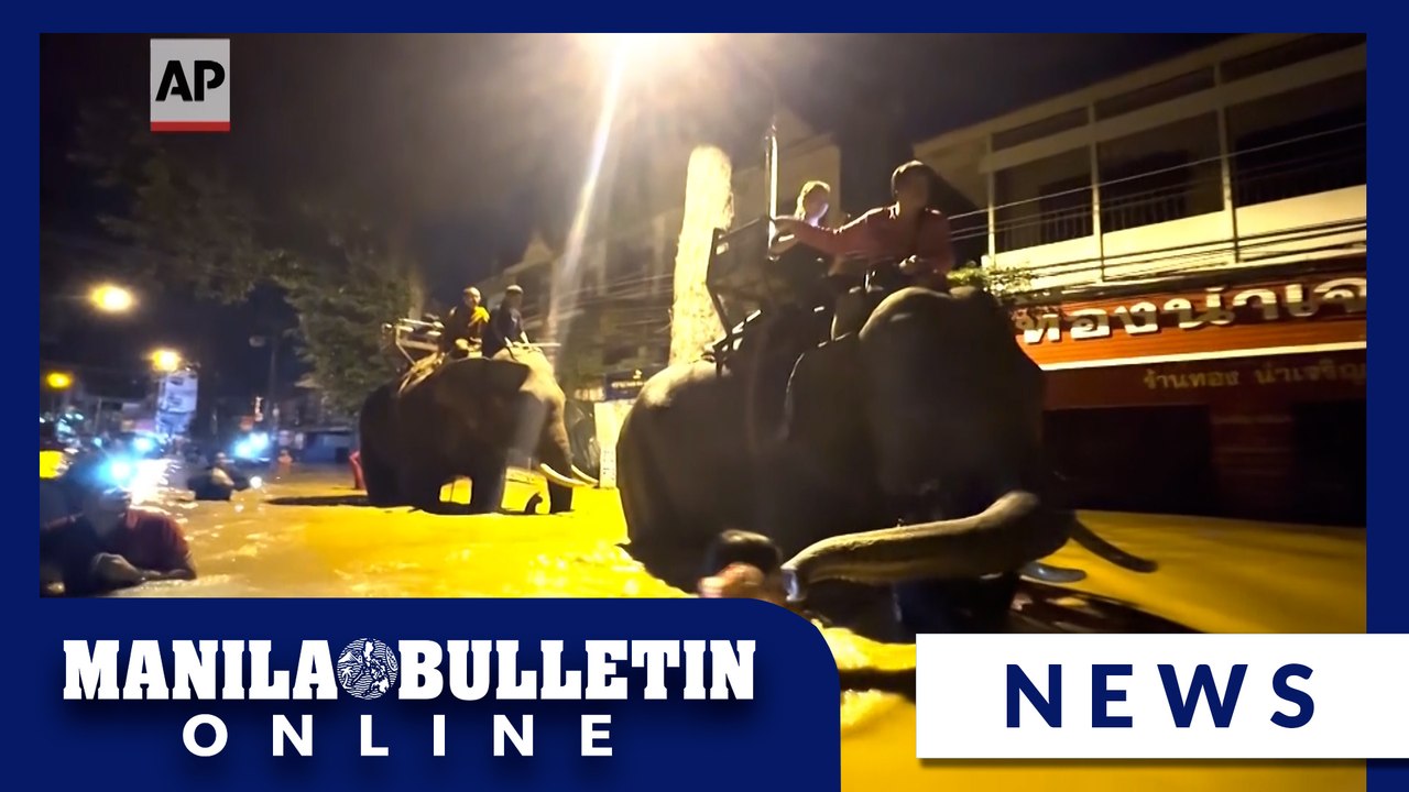 Elephants lend weight to flood relief effort in northern Thailand