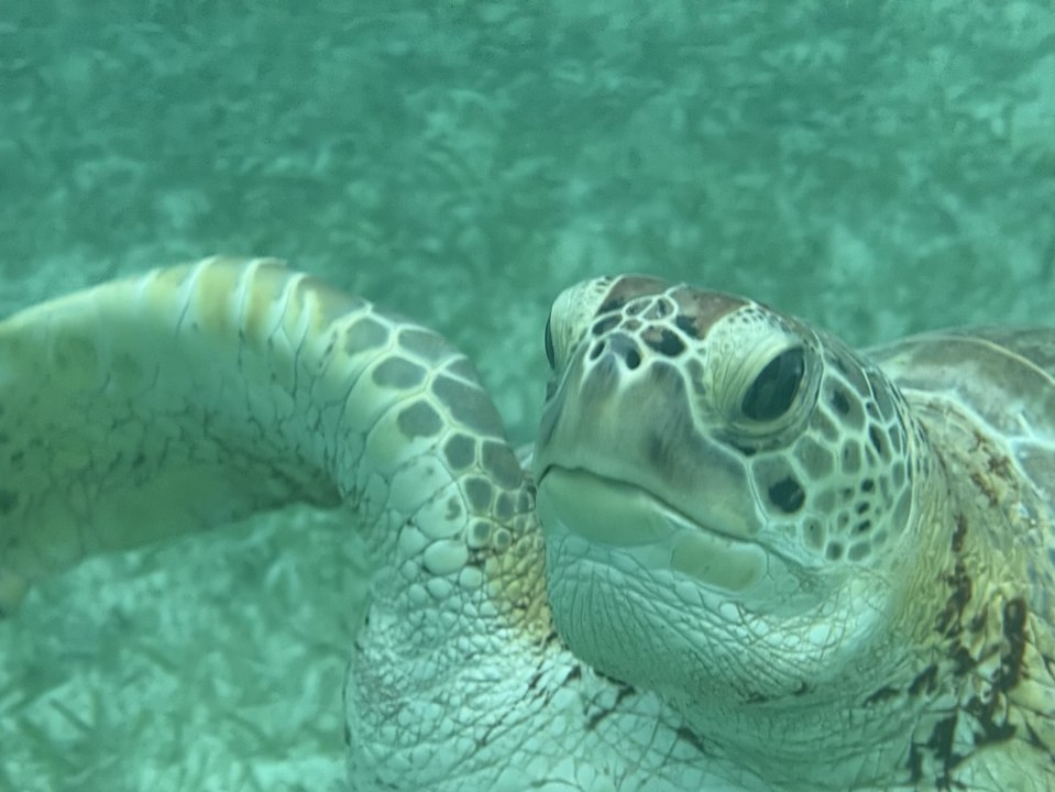 Grabación video iPhone 16 Pro 4K Dolby Vision 120fps