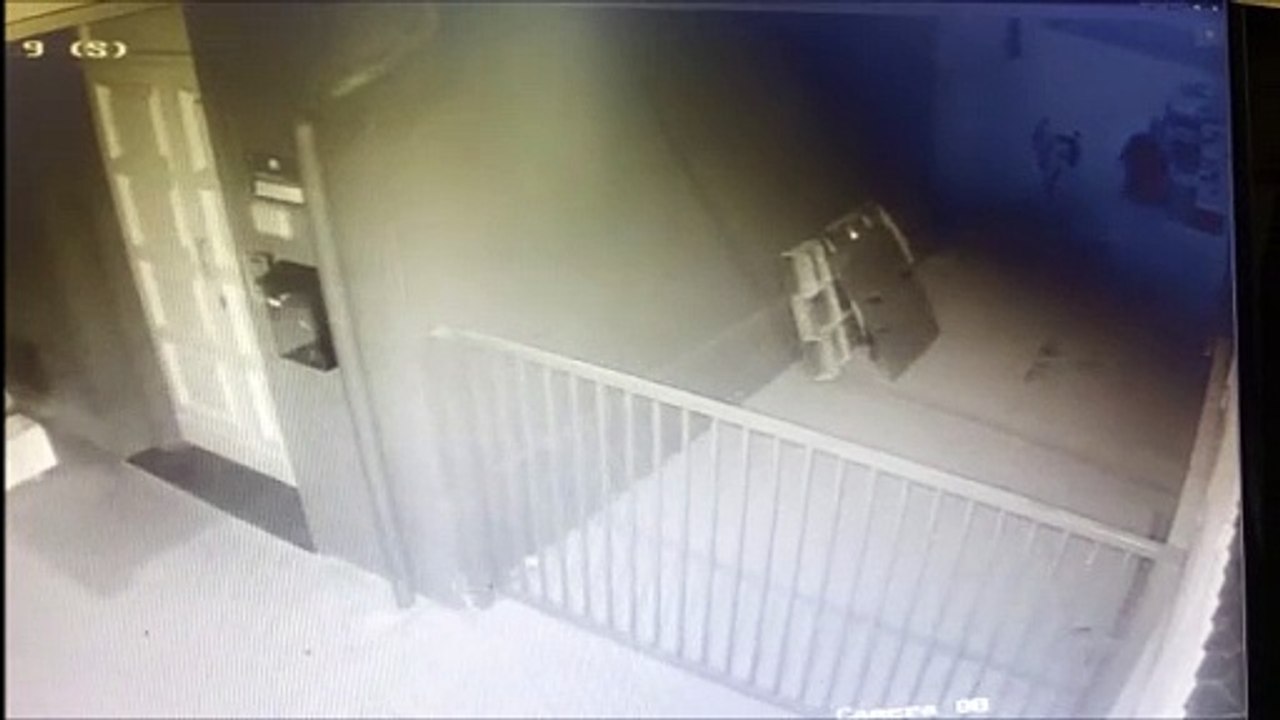 Empoli, le telecamere riprendono il ladro in azione