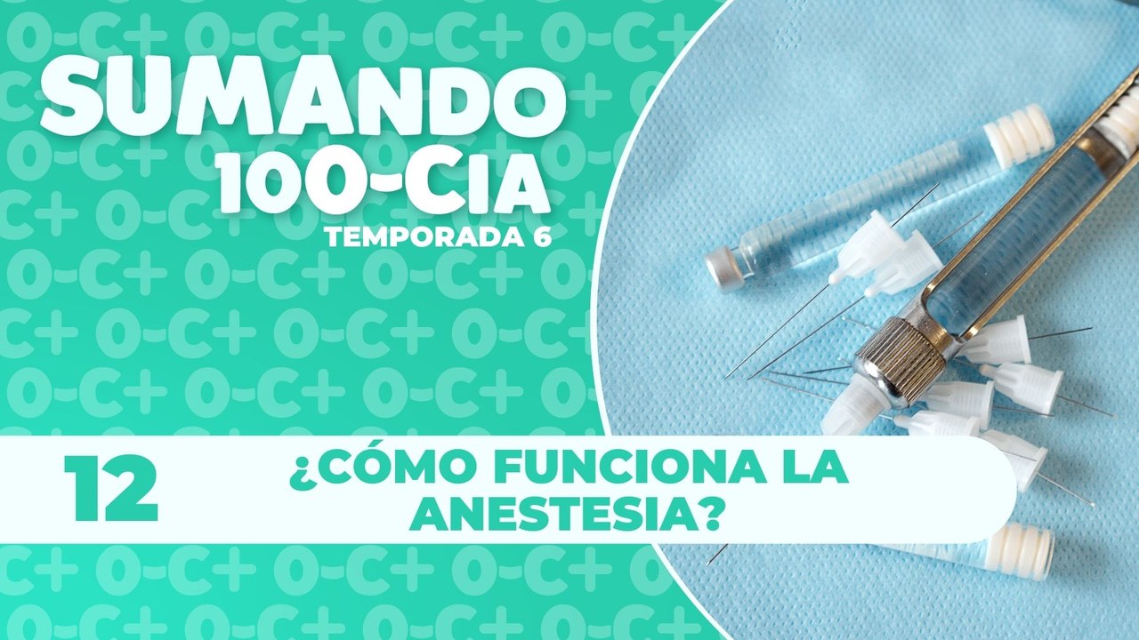 12 ¿Cómo funciona la anestesia?