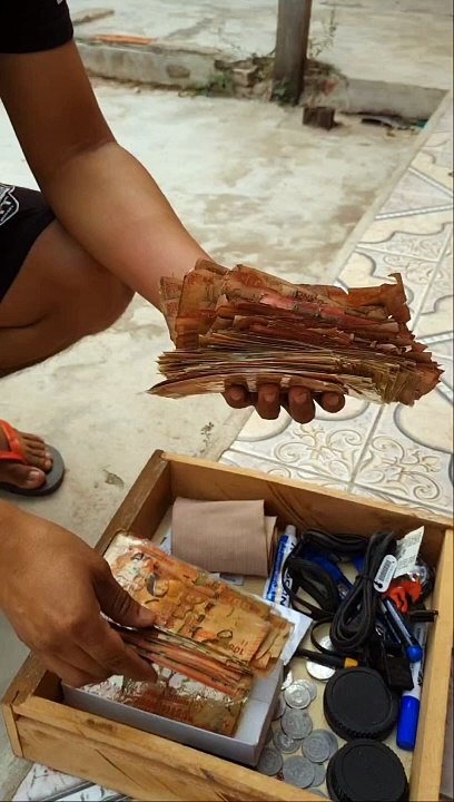 "Roedores se comieron sus ahorros"