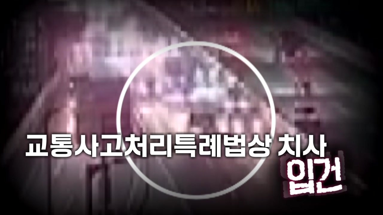 [영상] '역주행' 고속도로 진입 차량에 운전자 1명 숨져 / YTN