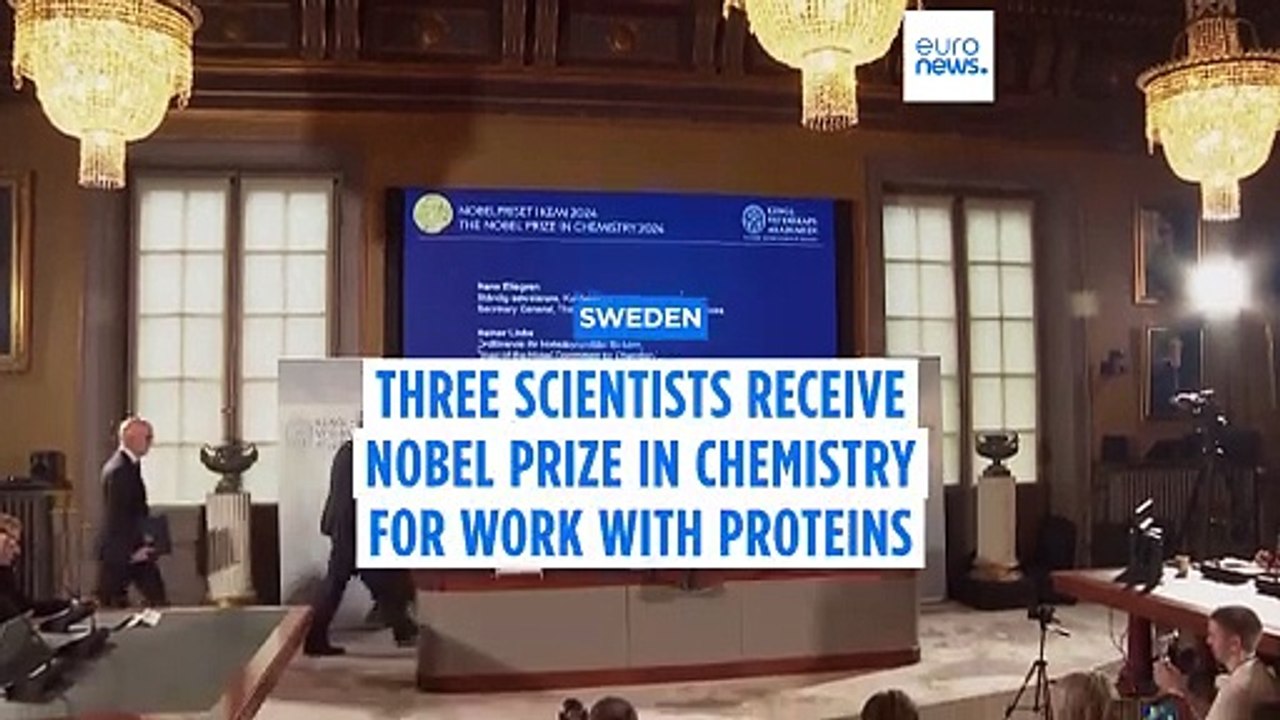 Nobel Prize in chemistry awarded to David Baker, Demis Hassabis and John Jumper for work on proteins