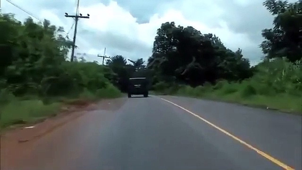 ANT attack Hollywood Dubbed Full Movie In Hindi