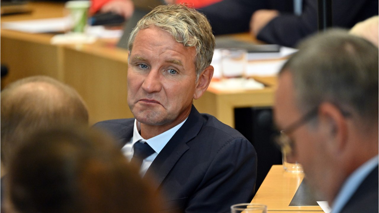 Björn Höcke: Fakten über den Afd-Politiker