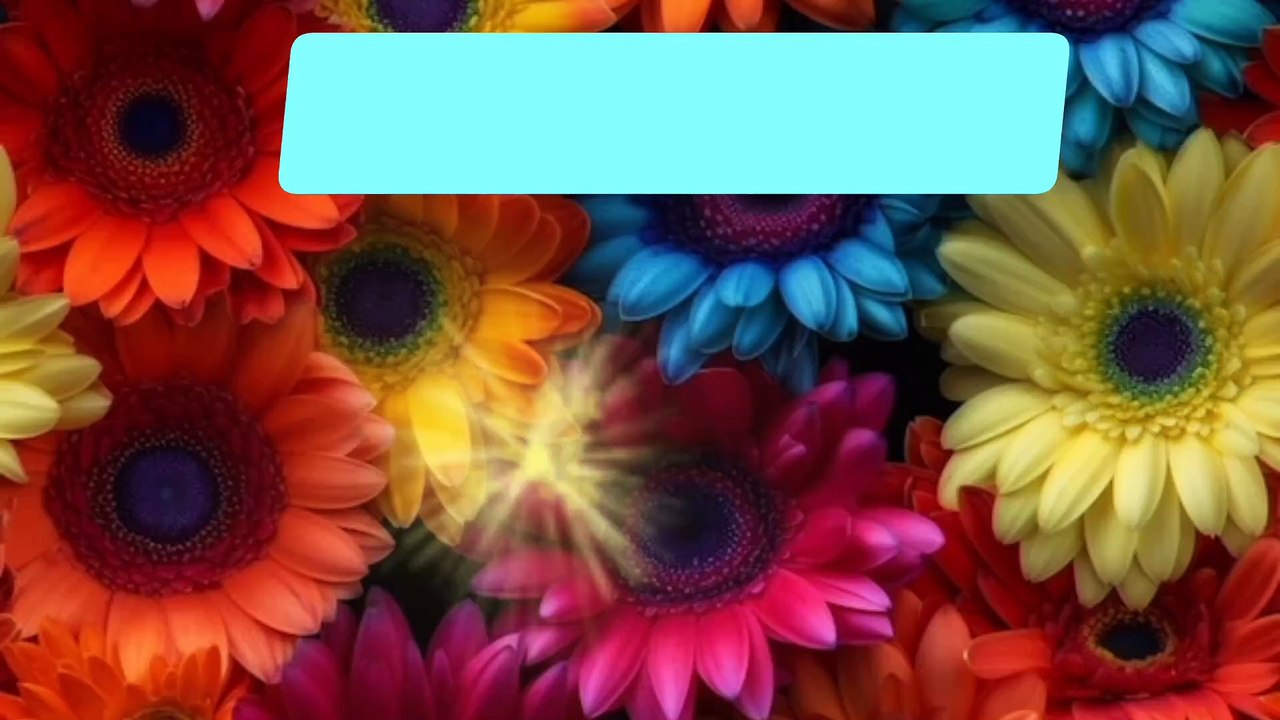 Guess the doll name, quiz, guess,