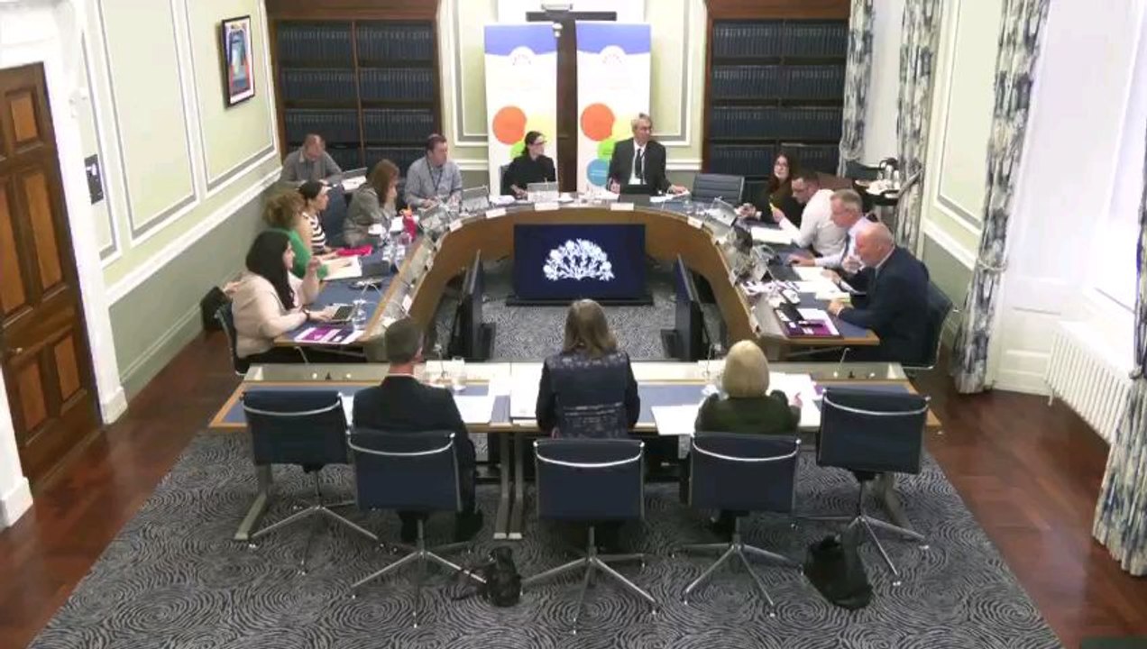 Committee chair cuts Stormont live feed when complaint about her is raised