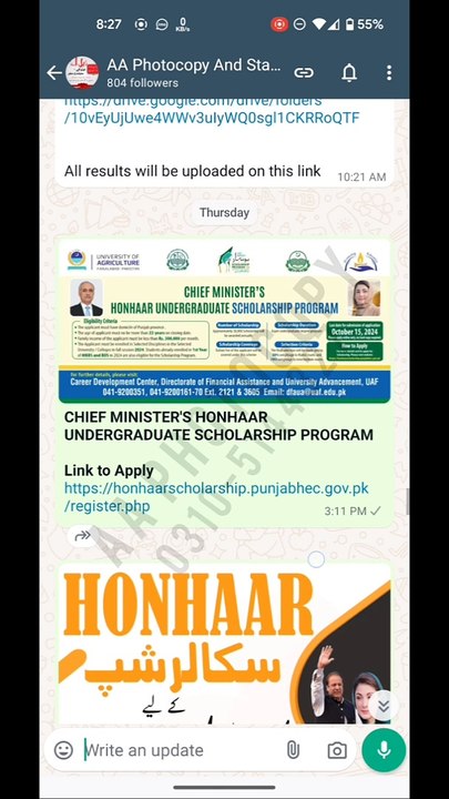 How to Apply Online for Honhaar Undergraduate Scholarship  Affidavit Preparation & All FAQs
