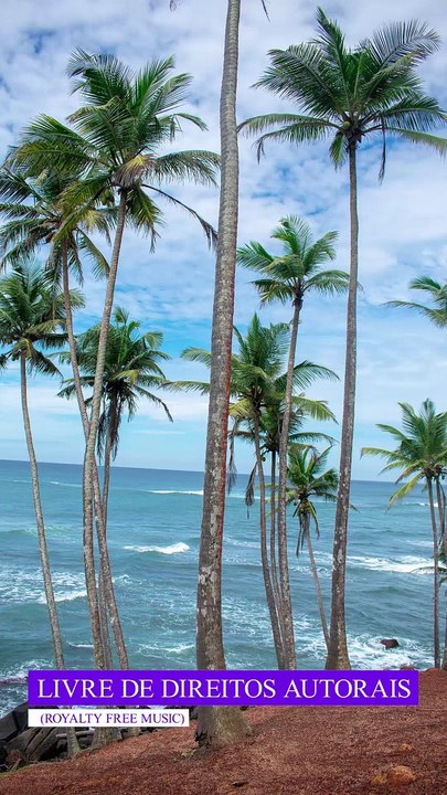 ✅Música ambiente alegre trazendo alegria,  paz e bem-estar #Shorts