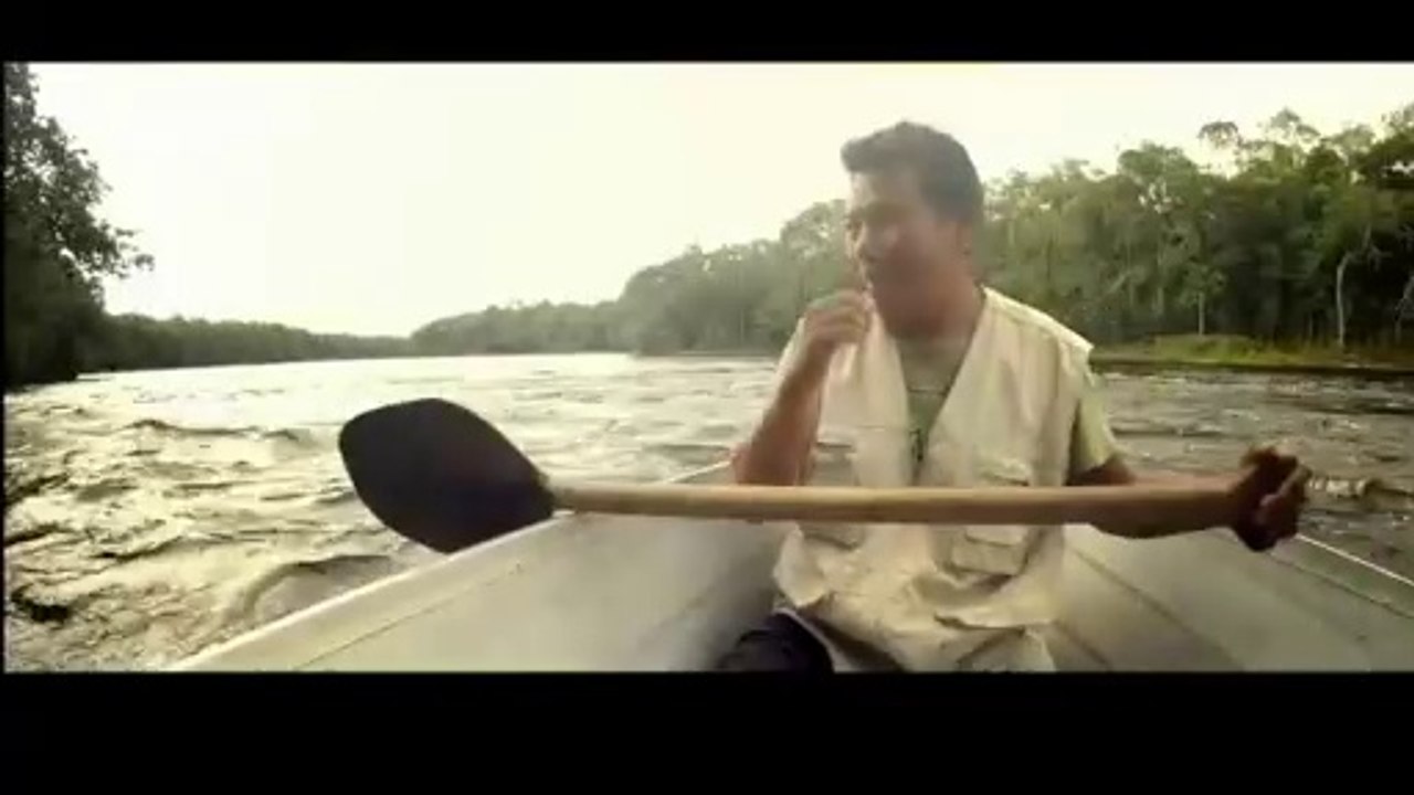 Vestigios de conocimientos ancestrales - Trailer