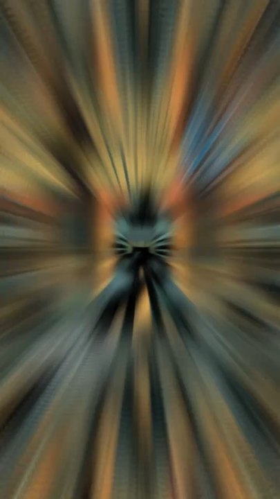 Qui est Absolute Batman ?