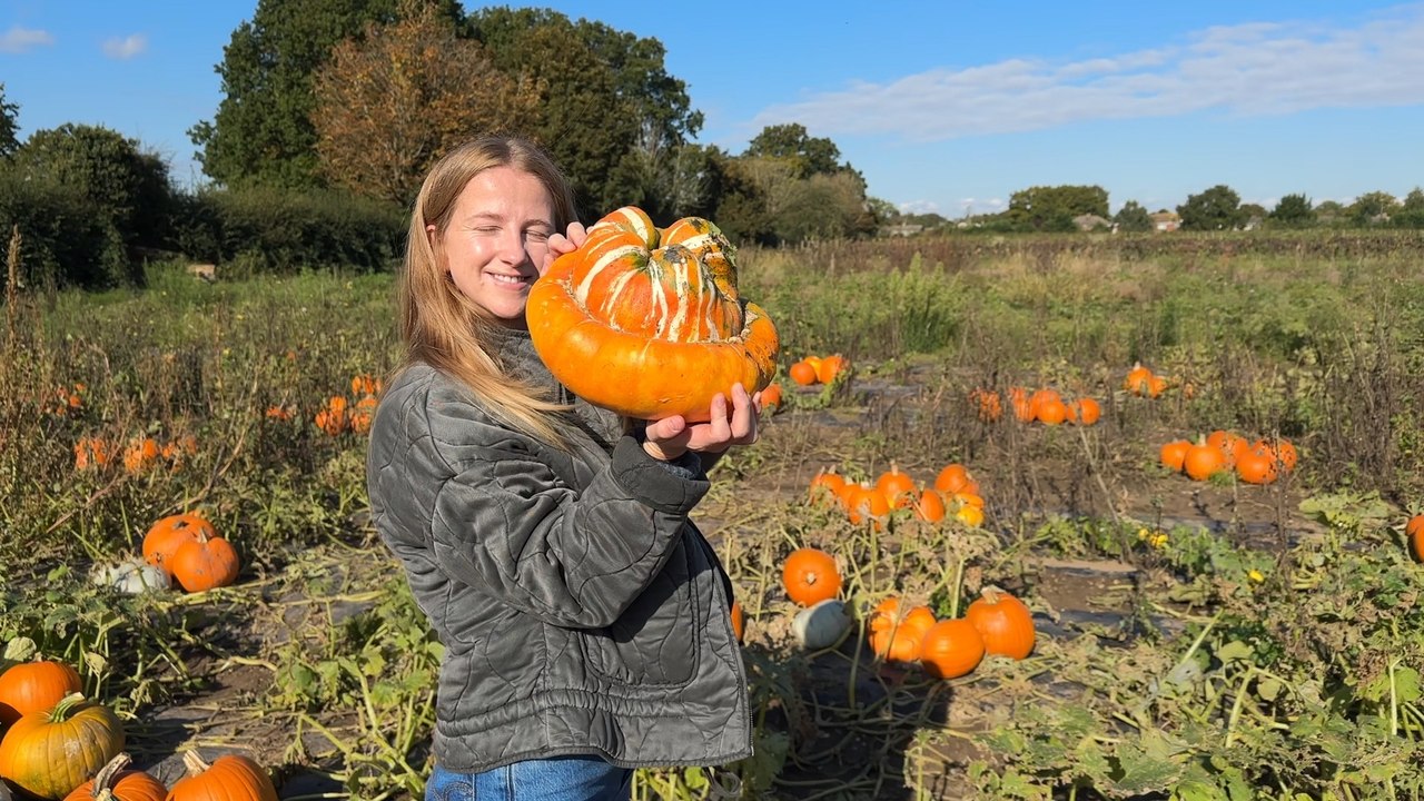 London’s best Halloween pumpkin patch