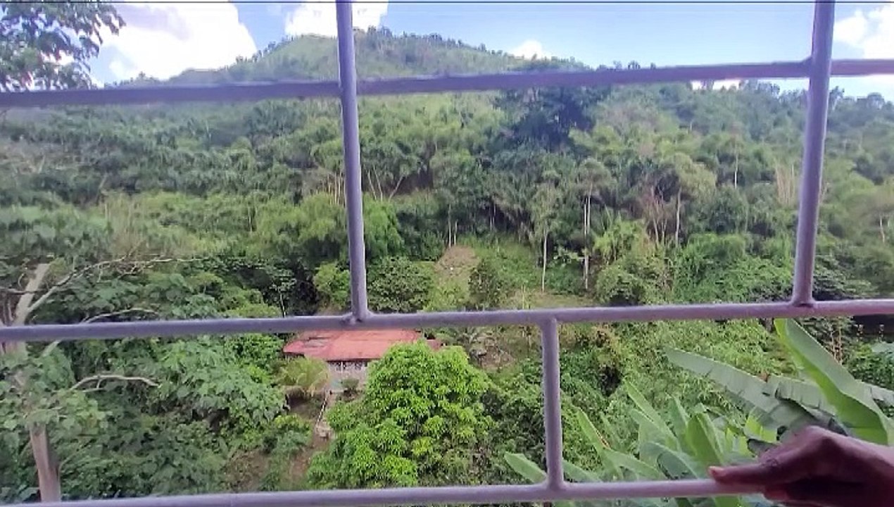 COPS & ARMY HUNT FOR SUSPECT