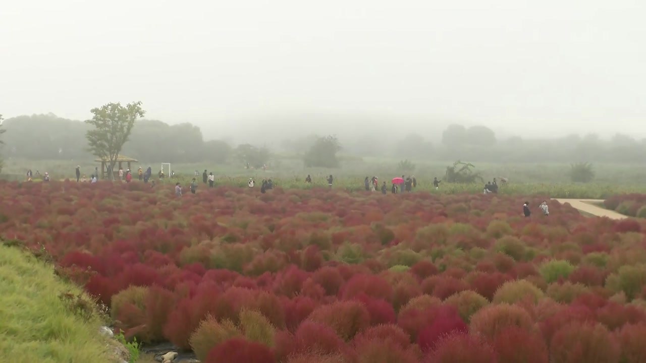 [날씨] 온화한 가을 날씨...가을 즐기러 공원 찾은 시민들 / YTN