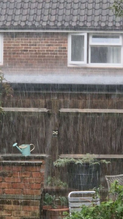 Raining Day #shorts​ #shortsfeed​ #shortsfeed ​ #trending​ #viralshorts​ #shortsvideo​  #viral